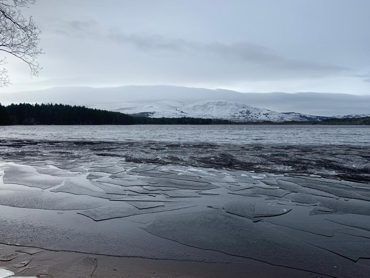The One - Chalet In The Cairngorms Boat of Garten Buitenkant foto